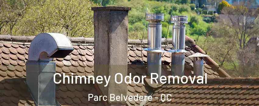  Chimney Odor Removal Parc Belvedere - QC