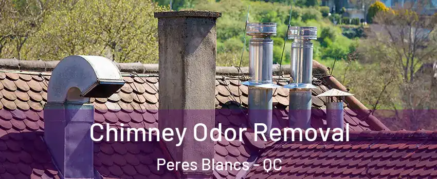  Chimney Odor Removal Peres Blancs - QC