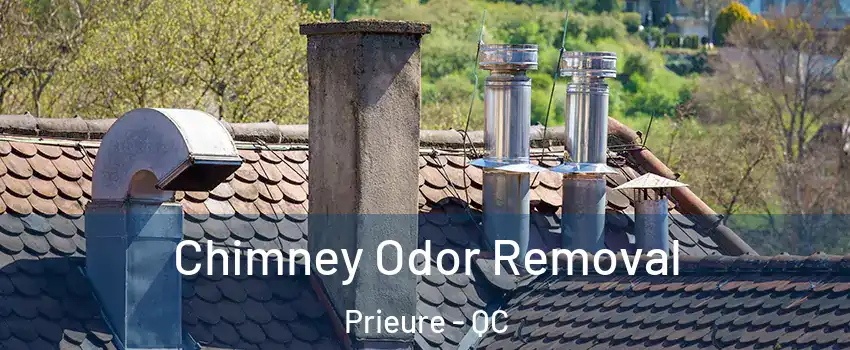  Chimney Odor Removal Prieure - QC