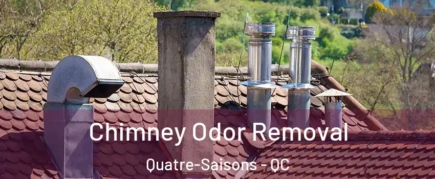  Chimney Odor Removal Quatre-Saisons - QC