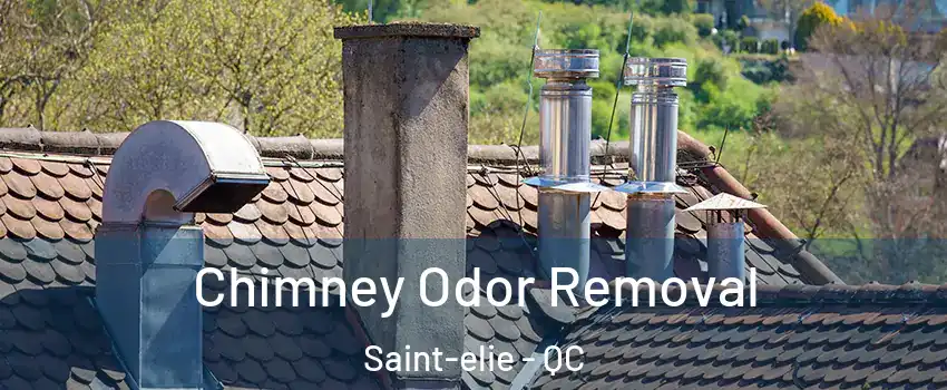  Chimney Odor Removal Saint-elie - QC