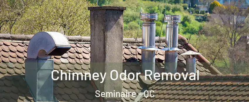  Chimney Odor Removal Seminaire - QC