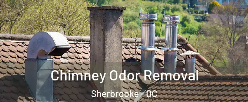  Chimney Odor Removal Sherbrooke - QC