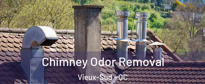  Chimney Odor Removal Vieux-Sud - QC