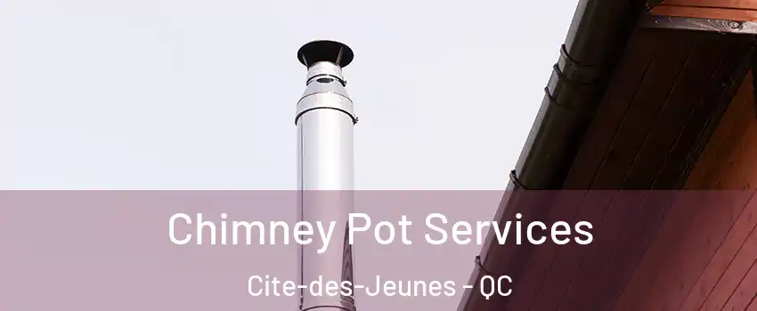  Chimney Pot Services Cite-des-Jeunes - QC