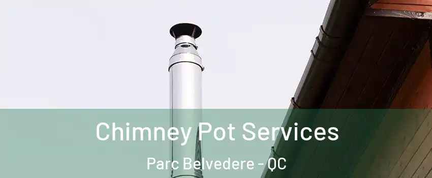  Chimney Pot Services Parc Belvedere - QC
