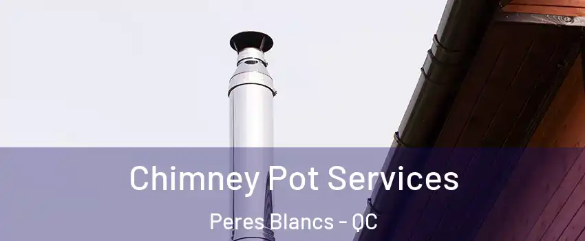  Chimney Pot Services Peres Blancs - QC