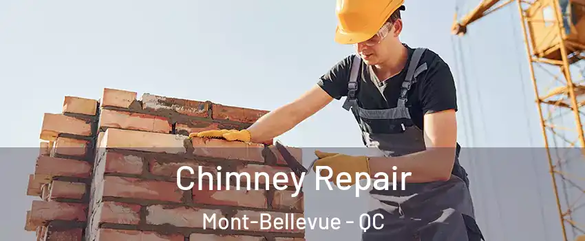 Chimney Repair Mont-Bellevue - QC