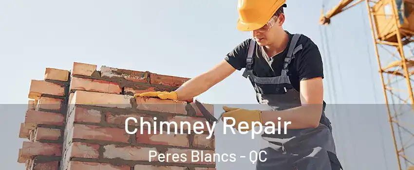  Chimney Repair Peres Blancs - QC