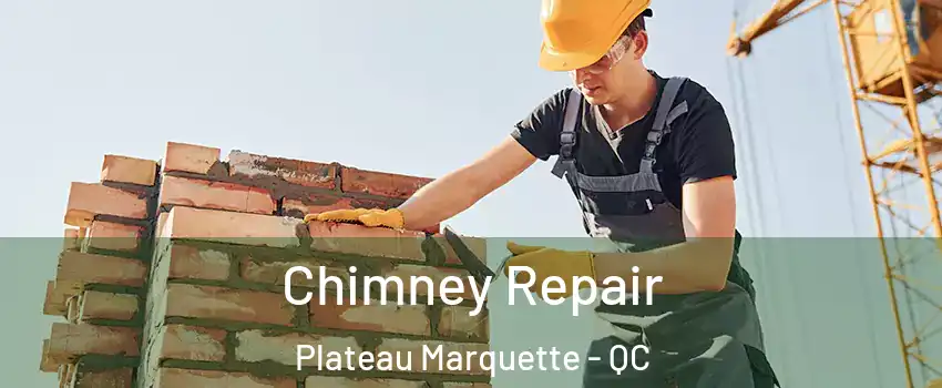  Chimney Repair Plateau Marquette - QC