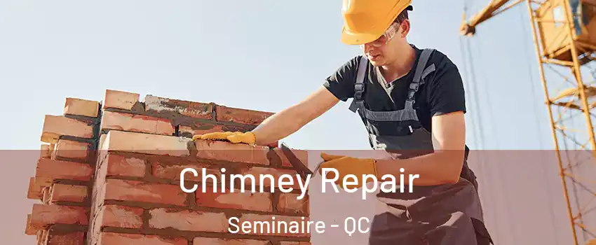  Chimney Repair Seminaire - QC