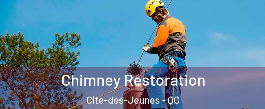  Chimney Restoration Cite-des-Jeunes - QC