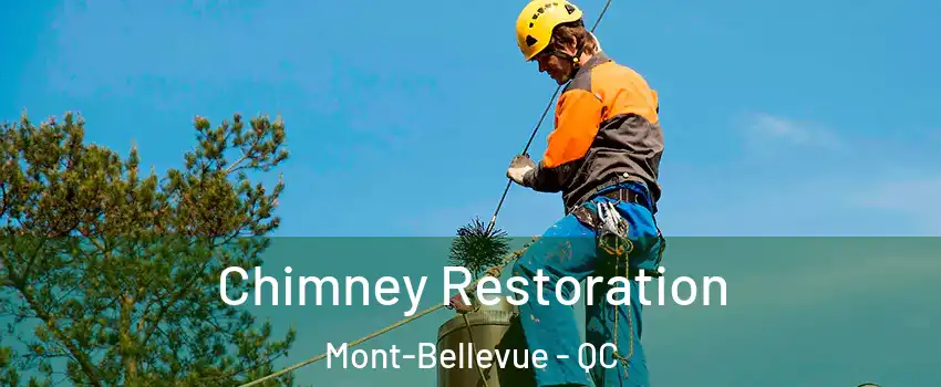  Chimney Restoration Mont-Bellevue - QC