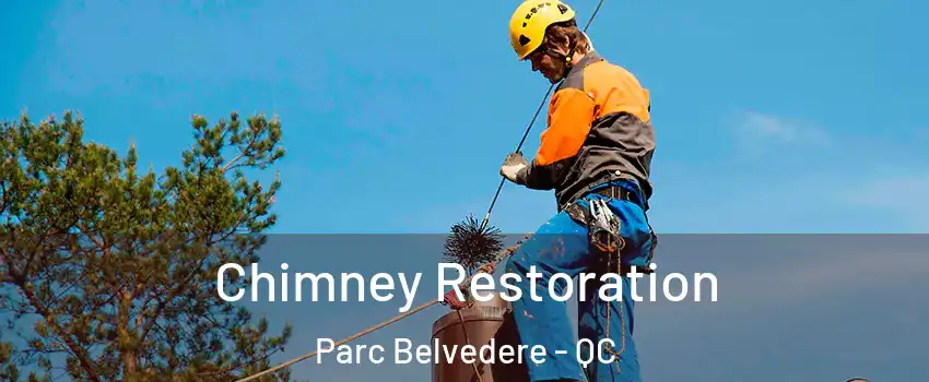  Chimney Restoration Parc Belvedere - QC