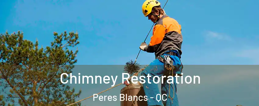  Chimney Restoration Peres Blancs - QC