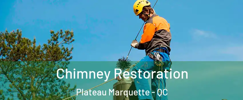  Chimney Restoration Plateau Marquette - QC