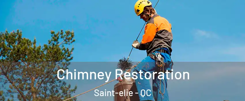  Chimney Restoration Saint-elie - QC