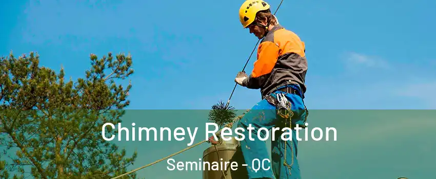  Chimney Restoration Seminaire - QC