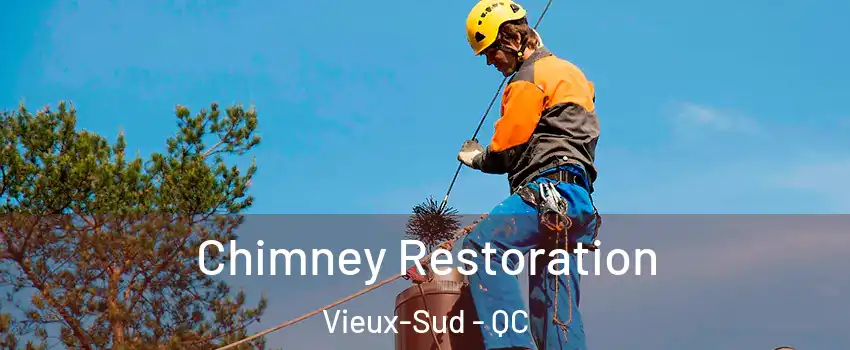  Chimney Restoration Vieux-Sud - QC