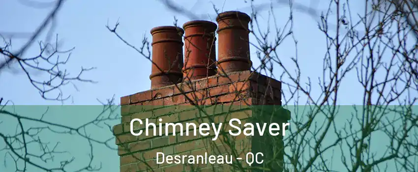  Chimney Saver Desranleau - QC
