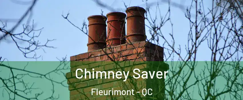  Chimney Saver Fleurimont - QC