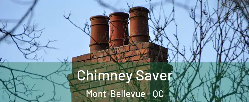  Chimney Saver Mont-Bellevue - QC