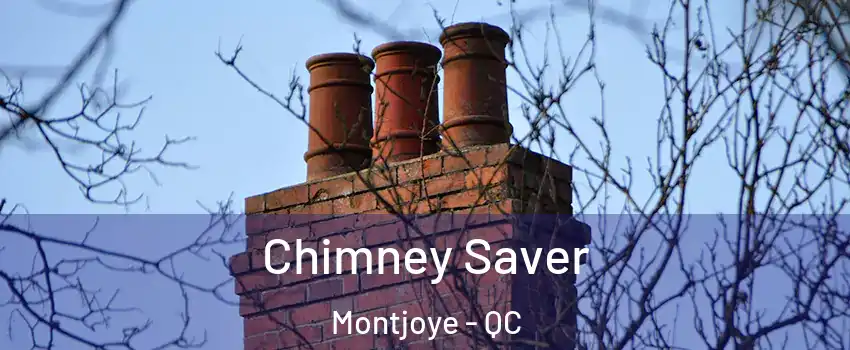  Chimney Saver Montjoye - QC