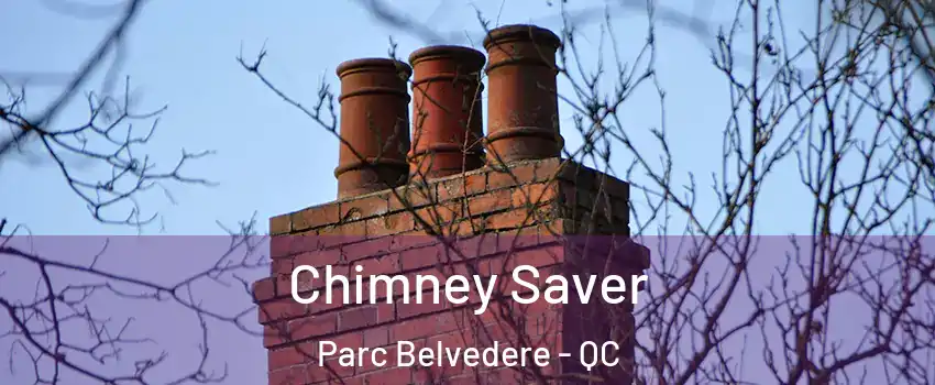  Chimney Saver Parc Belvedere - QC