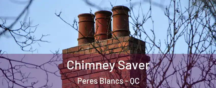  Chimney Saver Peres Blancs - QC