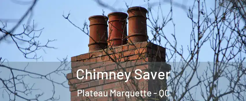  Chimney Saver Plateau Marquette - QC