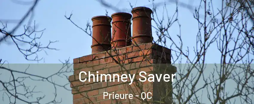  Chimney Saver Prieure - QC