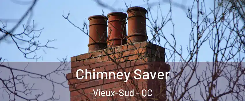  Chimney Saver Vieux-Sud - QC