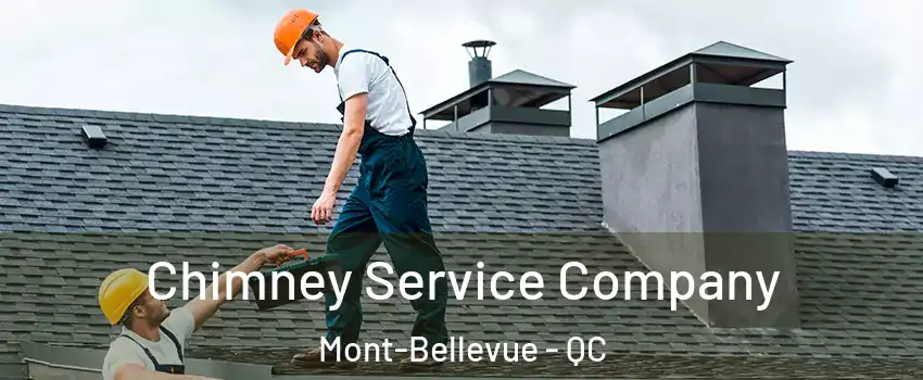  Chimney Service Company Mont-Bellevue - QC