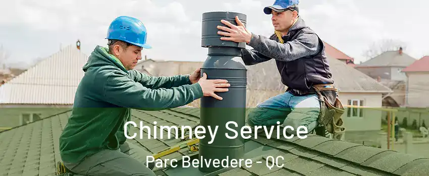  Chimney Service Parc Belvedere - QC