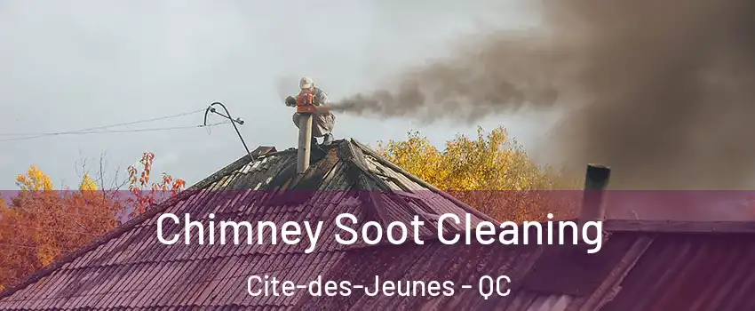 Chimney Soot Cleaning Cite-des-Jeunes - QC