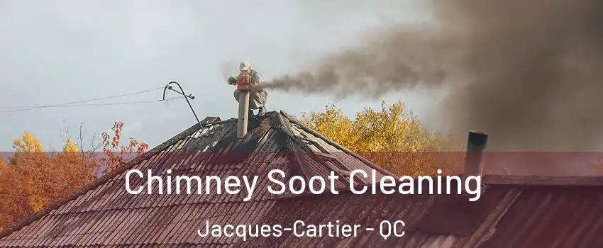 Chimney Soot Cleaning Jacques-Cartier - QC