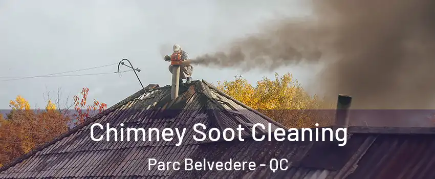  Chimney Soot Cleaning Parc Belvedere - QC