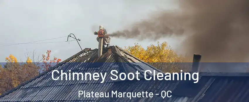  Chimney Soot Cleaning Plateau Marquette - QC