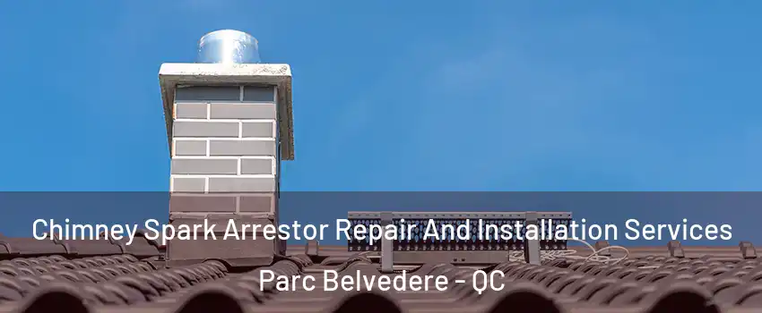  Chimney Spark Arrestor Repair And Installation Services Parc Belvedere - QC