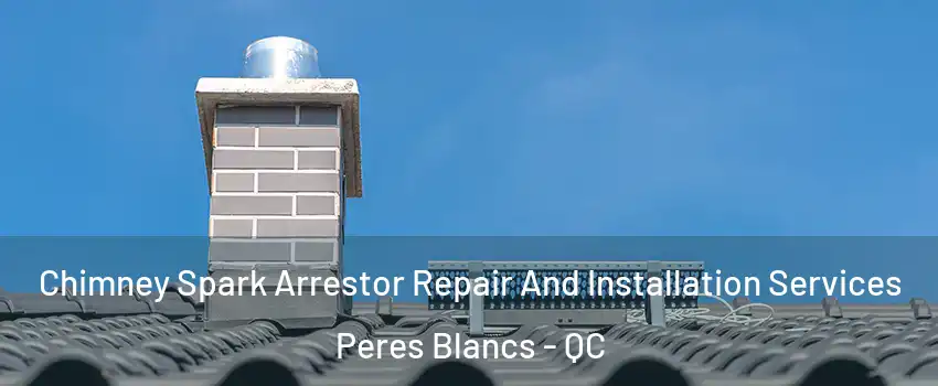  Chimney Spark Arrestor Repair And Installation Services Peres Blancs - QC