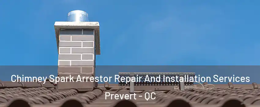  Chimney Spark Arrestor Repair And Installation Services Prevert - QC