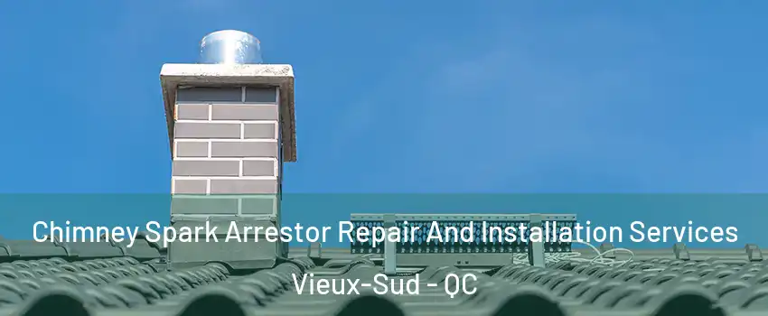  Chimney Spark Arrestor Repair And Installation Services Vieux-Sud - QC