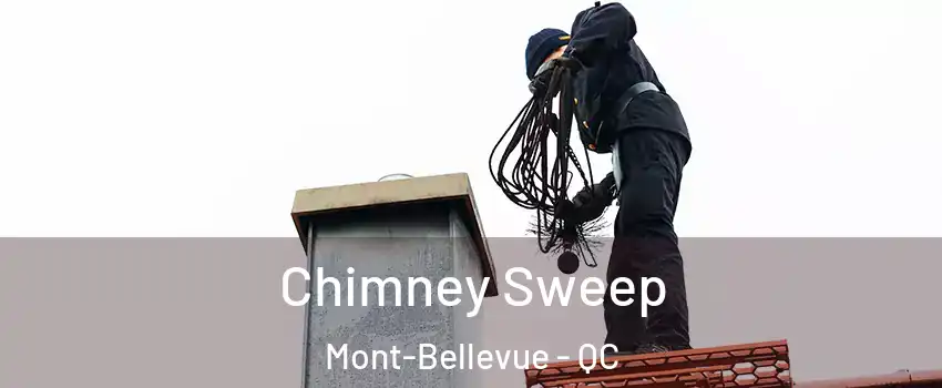  Chimney Sweep Mont-Bellevue - QC