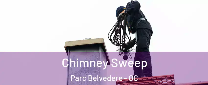  Chimney Sweep Parc Belvedere - QC