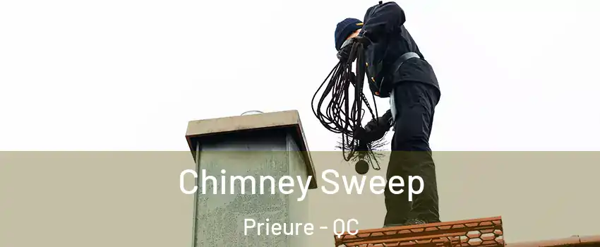  Chimney Sweep Prieure - QC