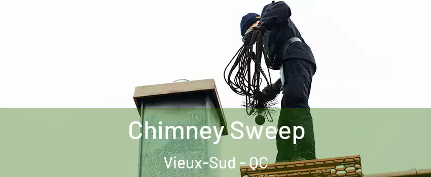  Chimney Sweep Vieux-Sud - QC