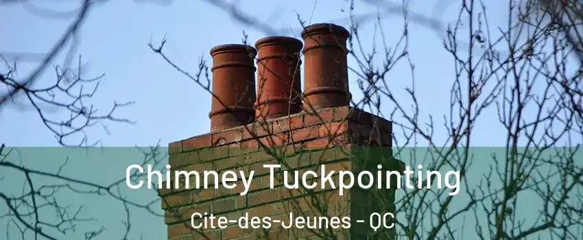  Chimney Tuckpointing Cite-des-Jeunes - QC