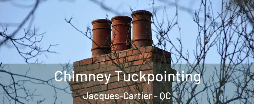  Chimney Tuckpointing Jacques-Cartier - QC