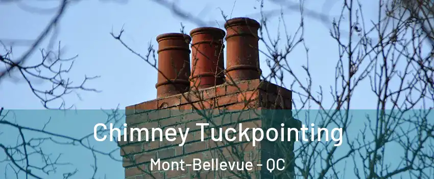  Chimney Tuckpointing Mont-Bellevue - QC
