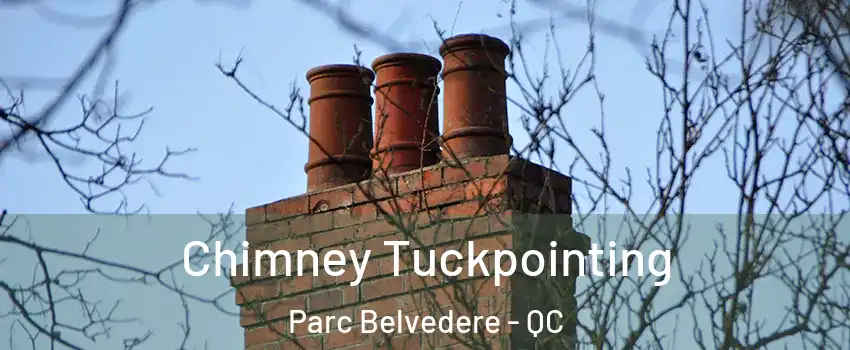  Chimney Tuckpointing Parc Belvedere - QC